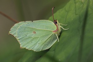 CTV_8631_04