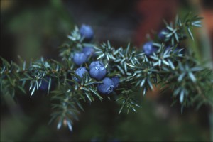 CJP_14:9:02_18