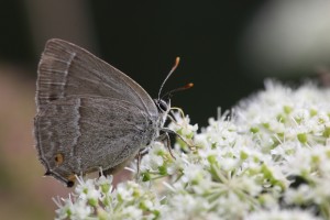 EKP_9885_03