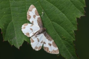 GRS_9658_04