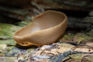 GMZ_0292_05