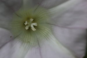 HDW_7743_03