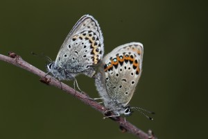 HDB_8370_08