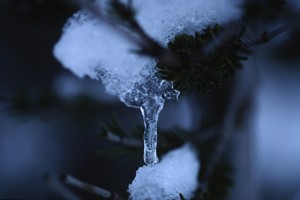 IJS_17:9:03_94