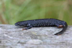KSM_5344_06