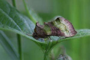 KPU_6565_02