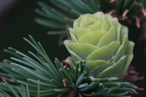 LR_5827_05