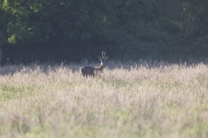 R_27/5/12_01
