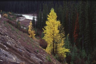 LDS_8:10:04_32