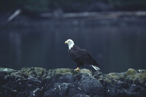 BE_7:9:08_03