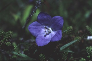 BBL_29:7:01_19