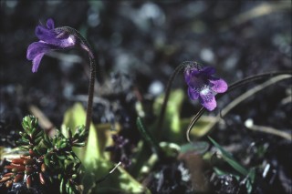 CBW_16:7:01_24
