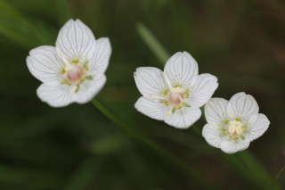 PNA_1302_22