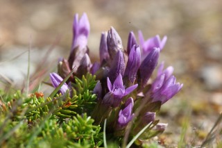 VGT_6742_04